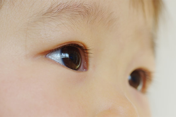 小児眼科